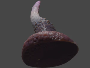 Fantasy Spiked Tentacle Rigged 3D Model