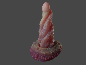 Mutant Tentacle Penis Sextoy Rigged 3D Model