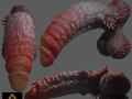 Demogorgon Demon Penis Rigged 3D-Modell