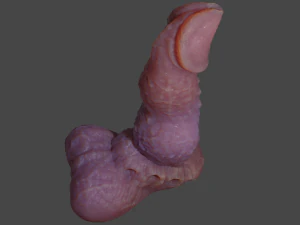 Beast Penis Sextoy Revised Rigged 3D Model