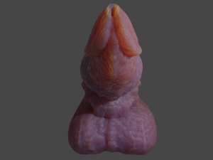 Beast Penis Sextoy Revised Rigged 3D Модель