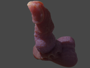 Beast Penis Sextoy Revised Rigged 3D Модель