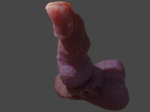 Beast Penis Sextoy Revised Rigged 3D Model