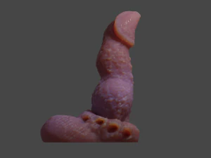 Beast Penis Sextoy Revised Rigged 3D Model