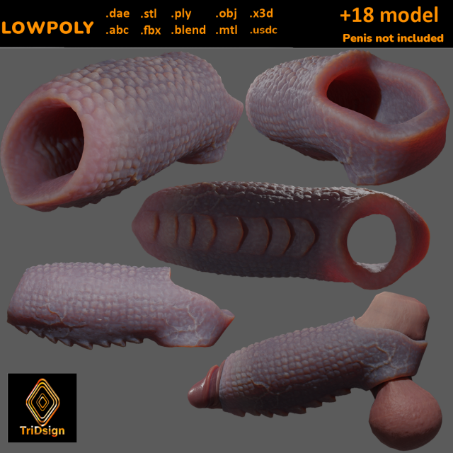 Fantasy Draco Penis Sheath Lowpoly Modelo 3D .c4d .max .obj .3ds .fbx .stl .blend