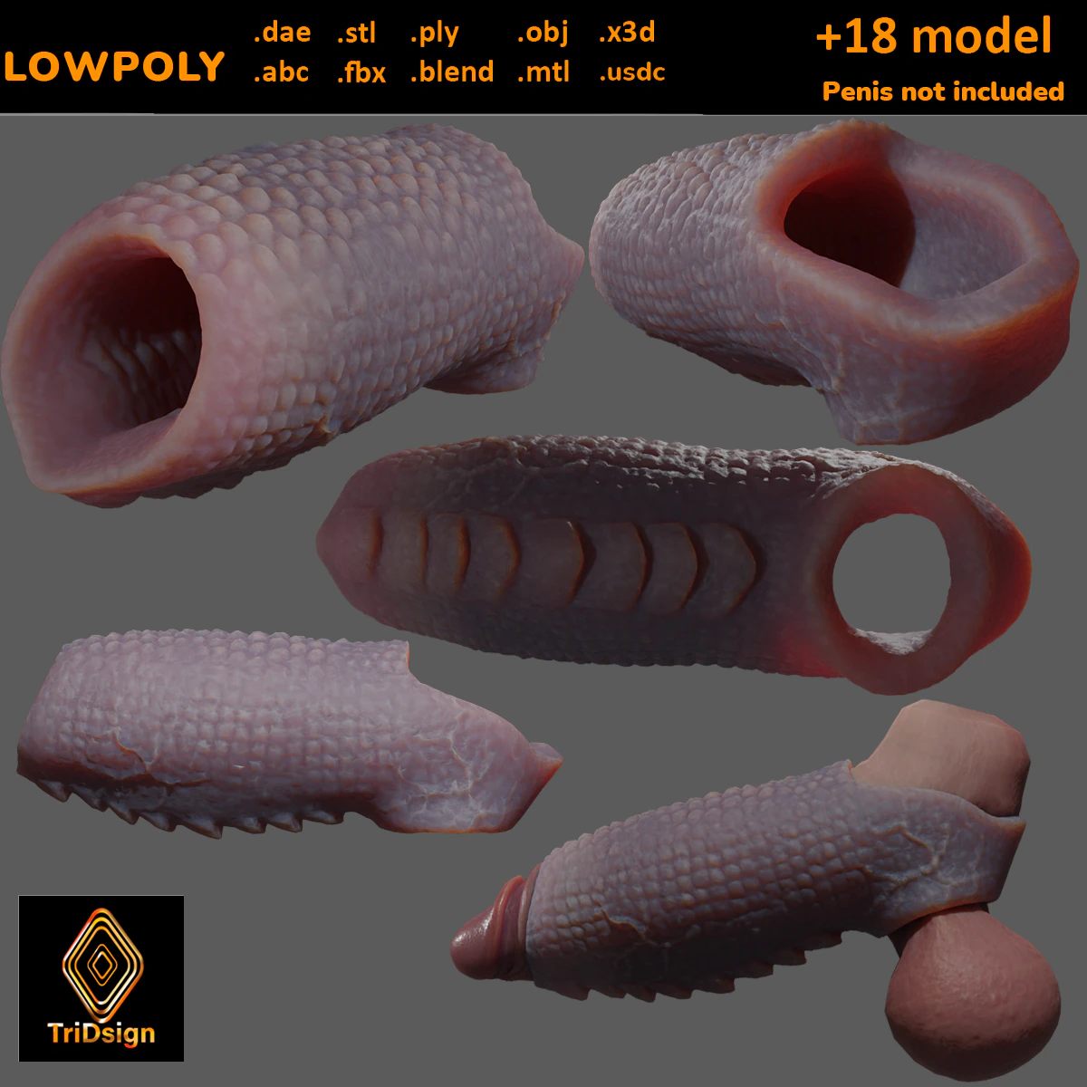 Fantasy Draco Penis Sheath Lowpoly 3D Model .c4d .max .obj .3ds .fbx .stl .blend 