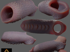 Fantasy Draco Penis Sheath Lowpoly 3D Model