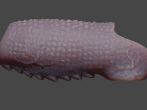 Fantasy Draco Penis Sheath Lowpoly Modelo 3D