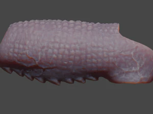 Fantasy Draco Penis Sheath Lowpoly 3D Model