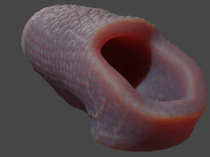 Fantasy Draco Penis Sheath Lowpoly 3D Model