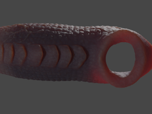 Fantasy Draco Penis Sheath Lowpoly Modelo 3D