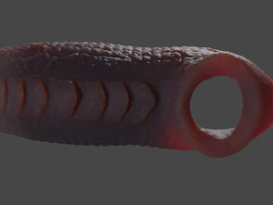 Fantasy Draco Penis Sheath Lowpoly 3D Model