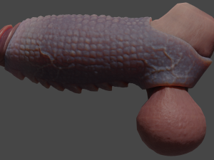 Fantasy Draco Penis Sheath Lowpoly Modelo 3D