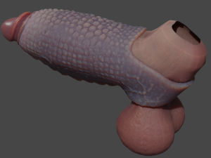 Fantasy Draco Penis Sheath Lowpoly Modelo 3D