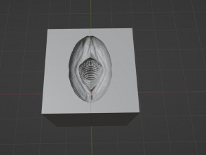 Print Ready Zaell Dragon Sextoy Mold 3D Model