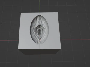 Готова форма для секс-іграшок Zaell Dragon 3D Модель