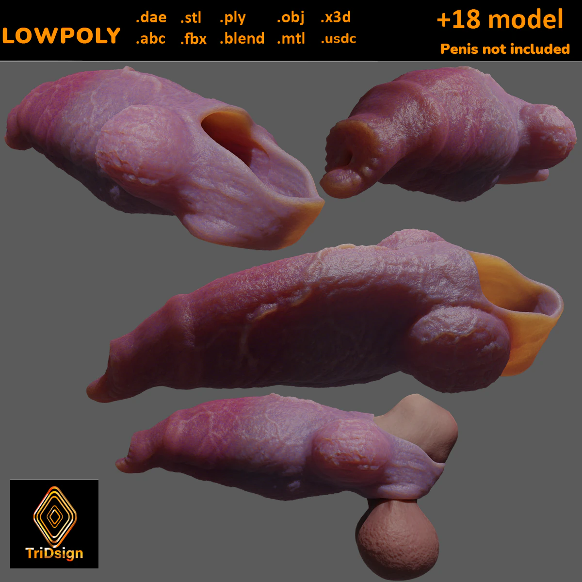 Fantasy Werewolf Penis Sheath 3D Model .c4d .max .obj .3ds .fbx .stl .blend 