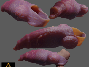 Fantasy Werewolf Penis Sheath 3D Model
