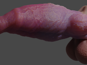 Fantasy Werewolf Penis Sheath 3D Model