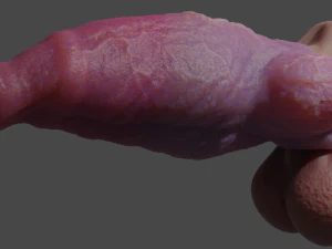 Fantasy Werewolf Penis Sheath 3D Model