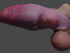 Fantasy Werewolf Penis Sheath 3D Model