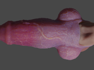 Fantasy Werewolf Penis Sheath 3D Model