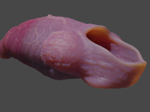 Fantasy Werewolf Penis Sheath 3D Model