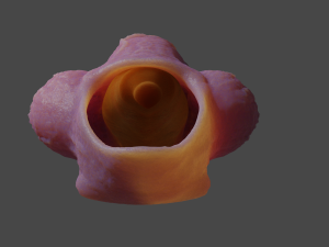 Fantasy Werewolf Penis Sheath 3D Model