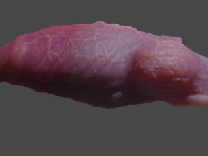 Fantasy Werewolf Penis Sheath 3D Model