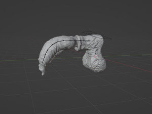 Werewolf Penis Sextoy Rigged 3D 模型