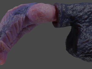 Werewolf Penis Sextoy Rigged 3D Model
