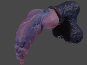 Werewolf Penis Sextoy Rigged 3D Model