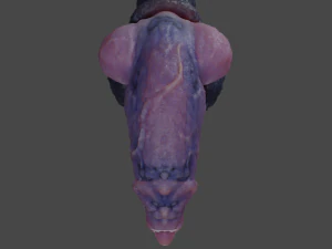 Werewolf Penis Sextoy Rigged 3D Model
