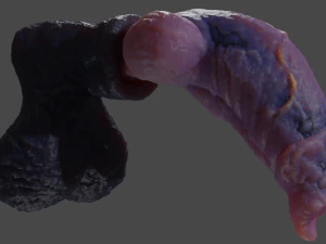 Werewolf Penis Sextoy Rigged 3D Model