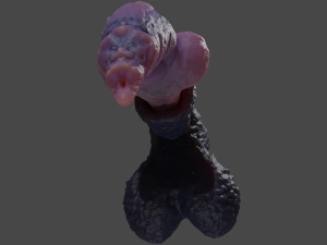 Werewolf Penis Sextoy Rigged 3D Model