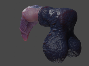 Werewolf Penis Sextoy Rigged 3D 模型