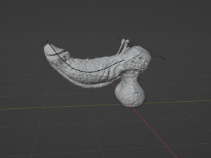 Fantasy Aboloth Demon Penis Rigged Modelo 3D