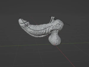Fantasy Aboloth Demon Penis Rigged 3D Model
