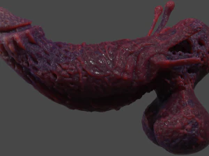 Fantasy Aboloth Demon Penis Rigged 3D Model