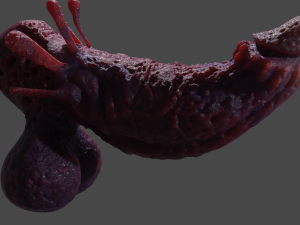 Fantasy Aboloth Demon Penis Rigged Modelo 3D