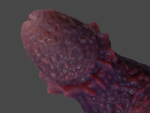 Fantasy Aboloth Demon Penis Rigged 3D Model