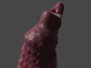 Monster Dog Penis Sextoy Rigged Modèle 3D