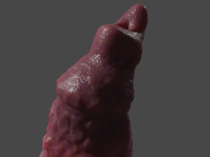 Monster Dog Penis Sextoy Rigged 3D Model