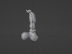 Werewolf Penis Sextoy Rigged with Mold included 3D 模型