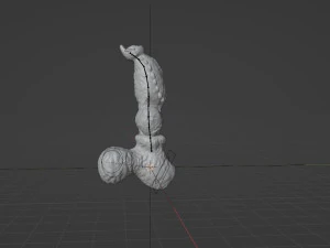 Werewolf Penis Sextoy Rigged with Mold included 3D Model