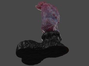 Werewolf Penis Sextoy Rigged with Mold included 3D 模型