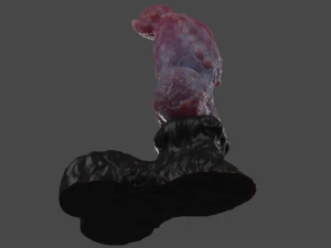 Werewolf Penis Sextoy Rigged with Mold included 3D Model