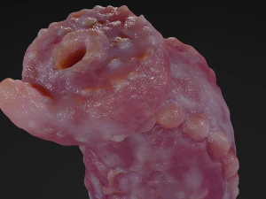 Werewolf Penis Sextoy Rigged with Mold included 3D Model