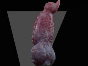 Werewolf Penis Sextoy Rigged with Mold included 3D Model