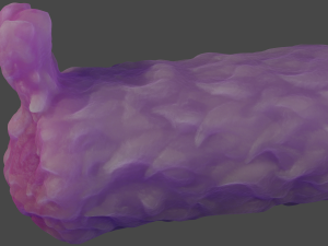 Furry Fleshlight Sextoy 3D Model